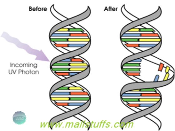 How chanting AUM or mantra changes your DNA