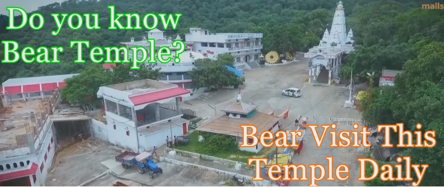 Do you know about Bear temple