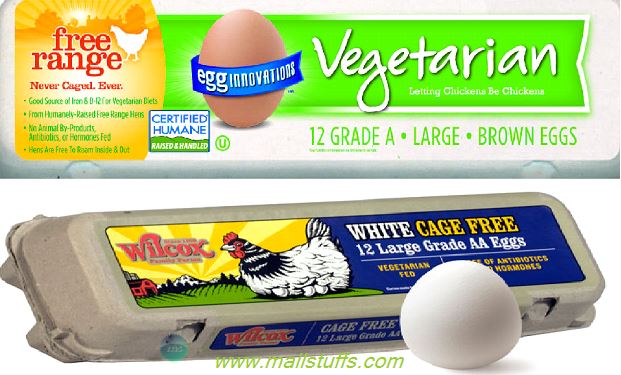 Is egg vegeterain and can devout hindus eat eggs